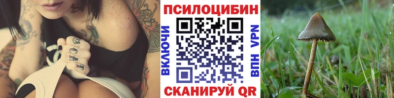 Галлюциногенные грибы Psilocybine cubensis  Нея 