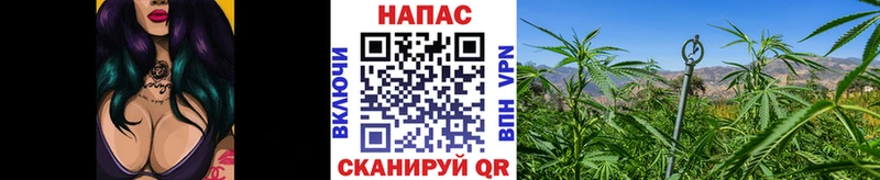 Конопля индика  Нея 